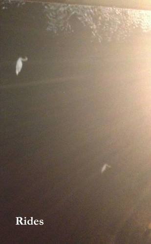 Rides by Marcus Slease