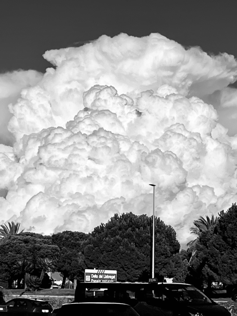 The MERCURIUS Show: Interactive Livestream&nbsp;Event