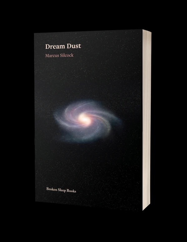 DREAM DUST IN FAVORITE READS OF 2025